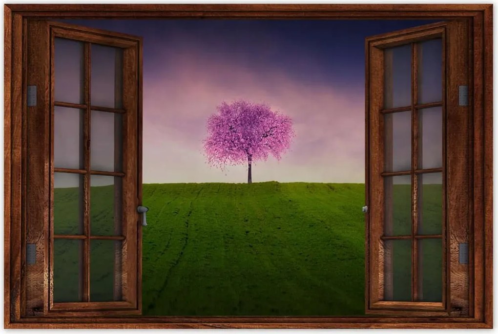 Poszter 60x40 Malackafa