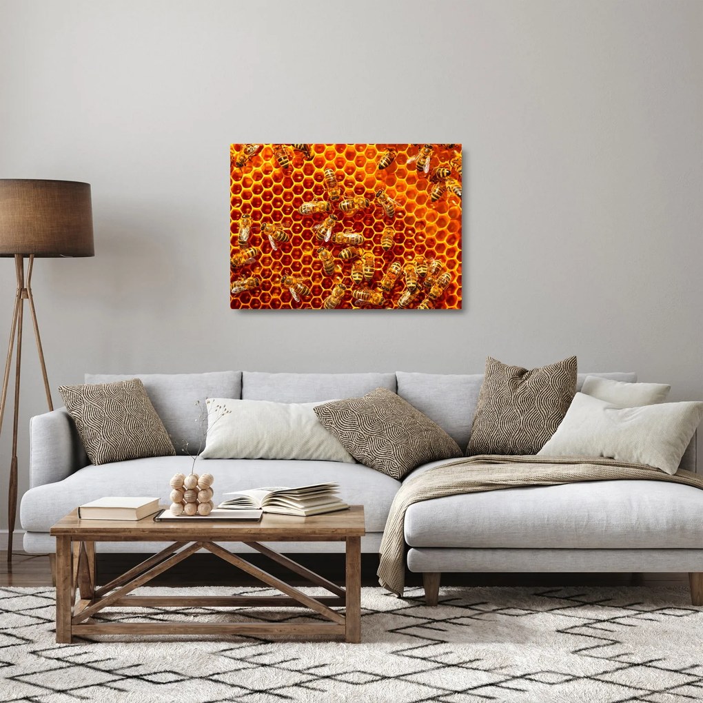 Üveg kép - Méhsejtes (70x50 cm)