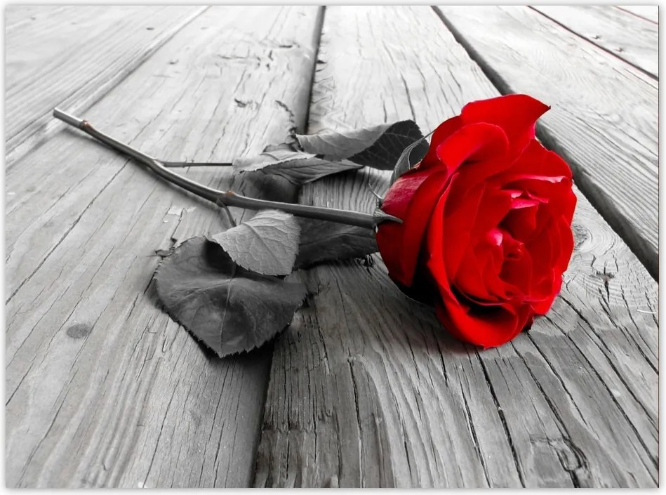 Poszterek 135x100 Rózsa a hídon