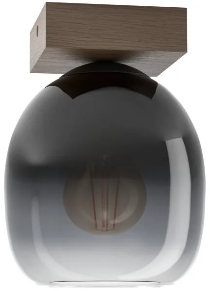 Eglo 900825 - Mennyezeti lámpa FILAGO 1xE27/40W/230V