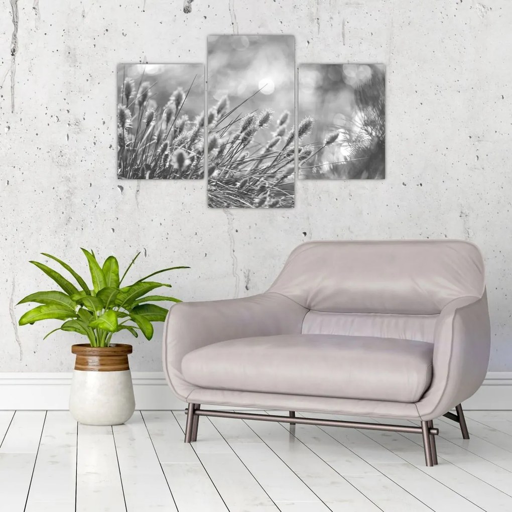 Kép - Bézs színű puha fű N⁰1 (90x60 cm)