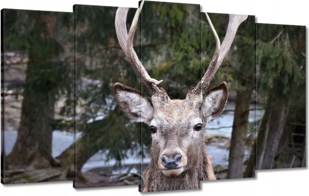 Vászonkép 100x60 Szarvas agancs