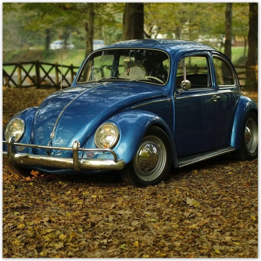 Poszterek 70x70 Bogár Vw autó]