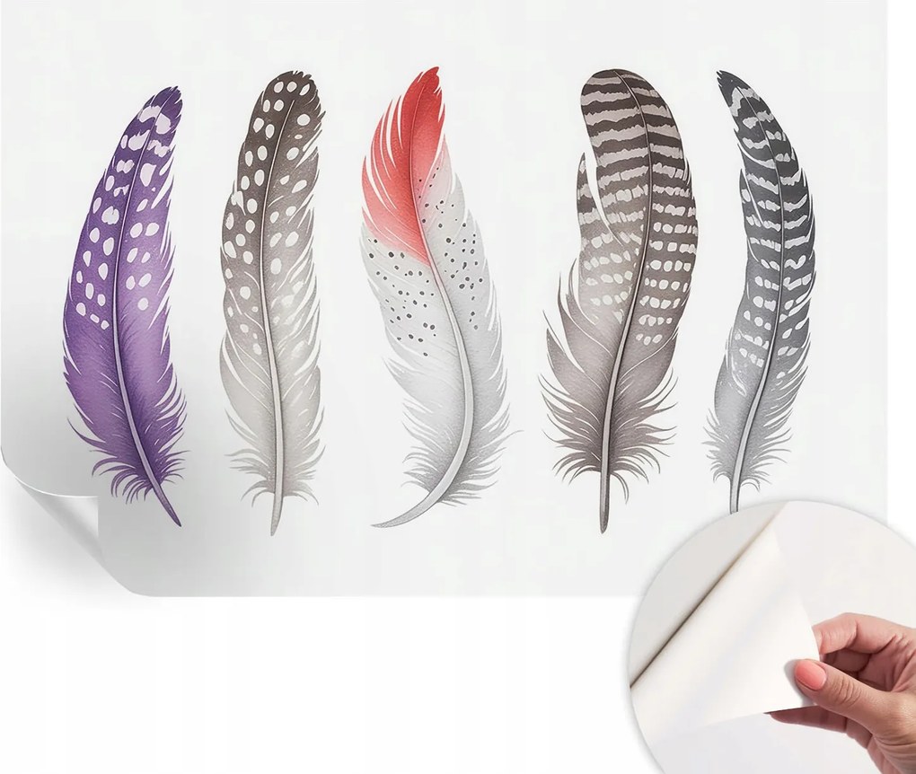 Fotótapéta Fali tapéta Hálószobába és Nappaliba Mintás tollak 104x70 cm