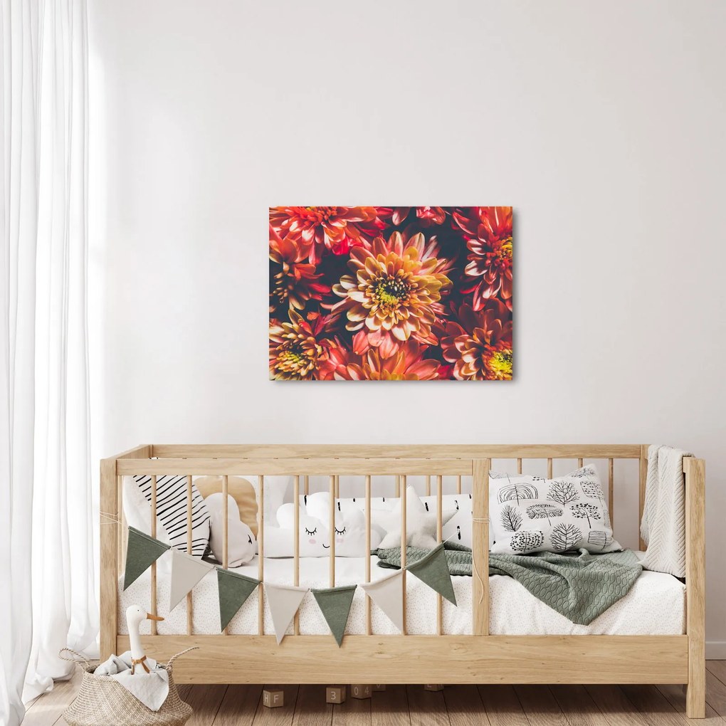 Kép - Krizantém (70x50 cm)