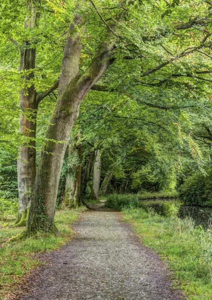 Poszter 29,7x42cm Ösvény a Basingstoke csatorna mentén, Assaf Frank