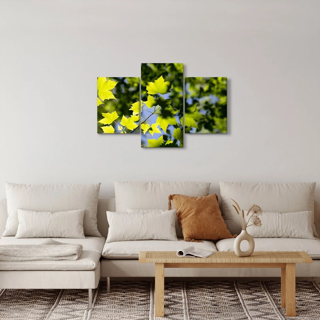 Kép - juhar levelek (90x60 cm)