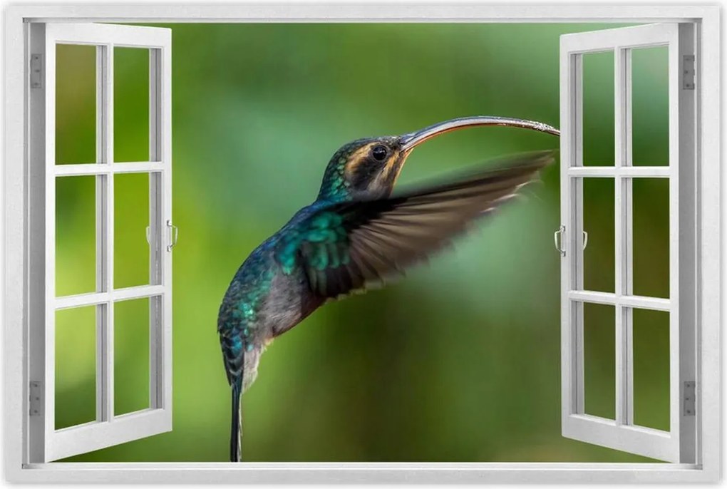 Poszterek 90x60 Madarak