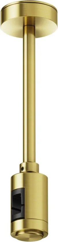 Maytoni Flarity TRA156C-SL1-BS Függeszték
