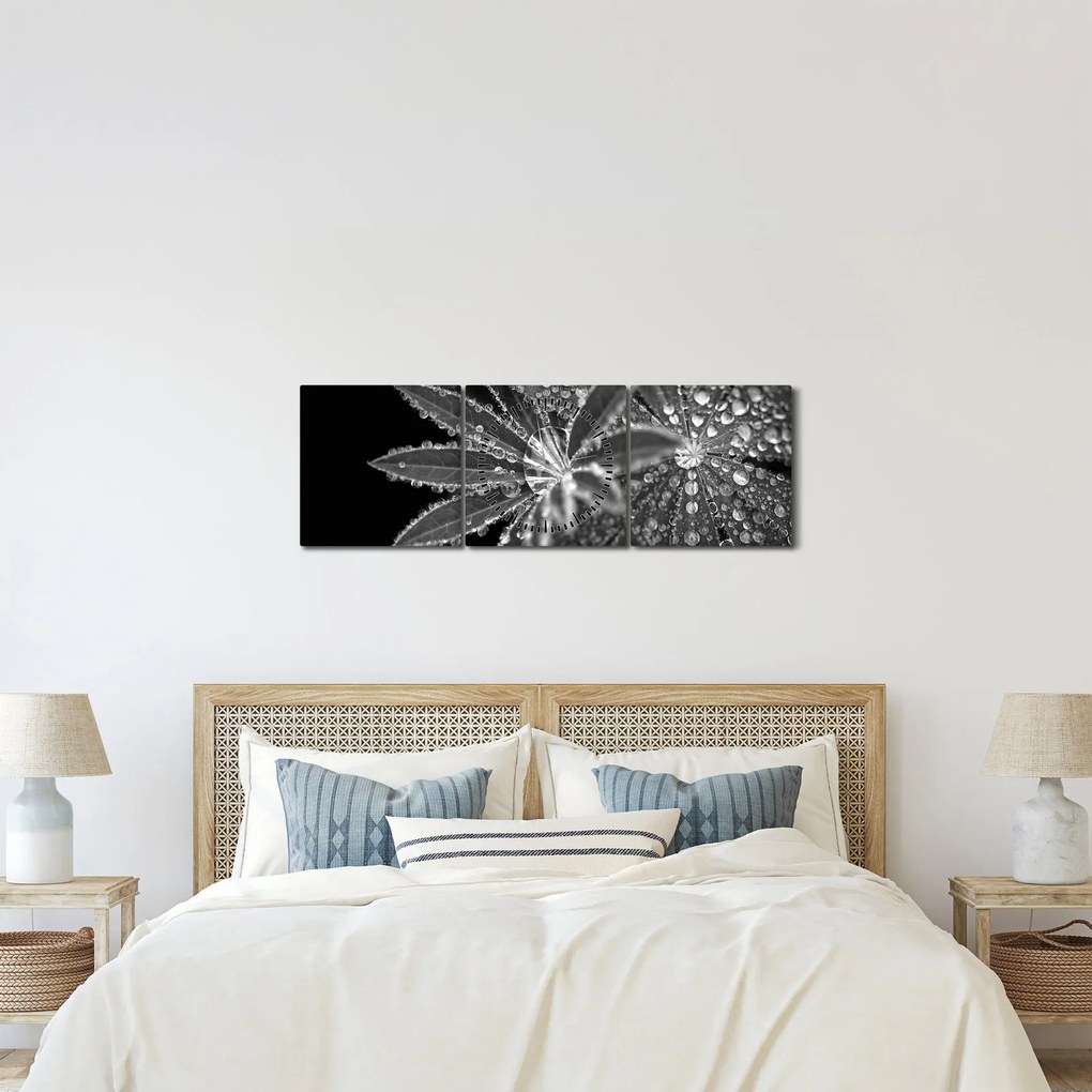 Kép - Levelek cseppekkel (órával) (90x30 cm)