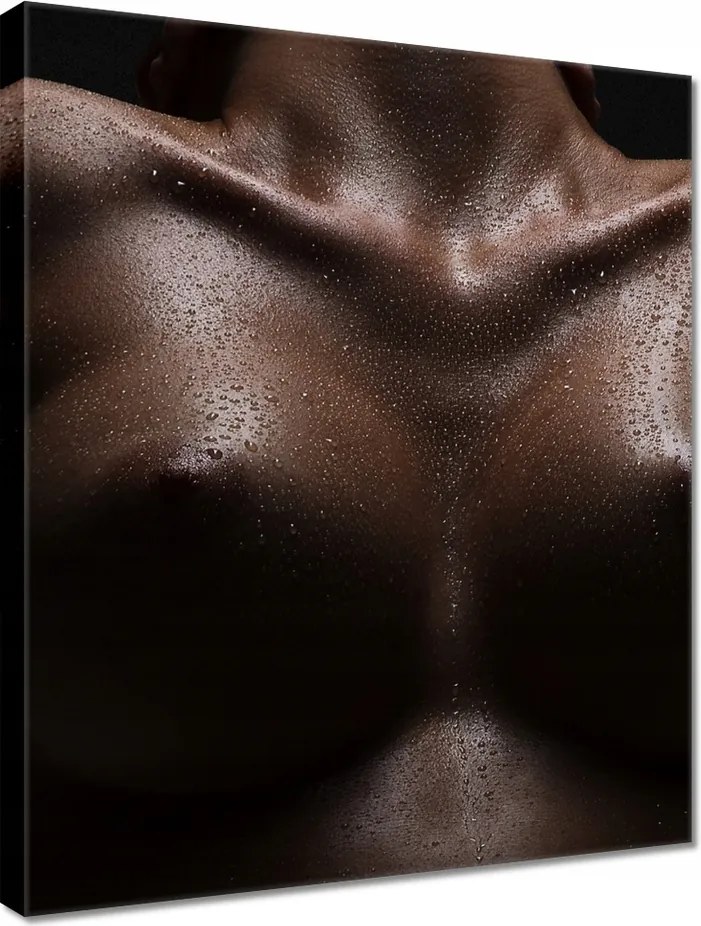 Vászonkép 40x50 Feszes mellek Akt