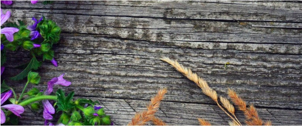 Kép - réti virágok (120x50 cm)