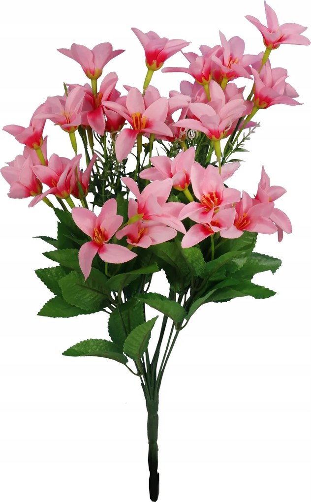 Clematisa Csokor Rózsaszín művirág virág