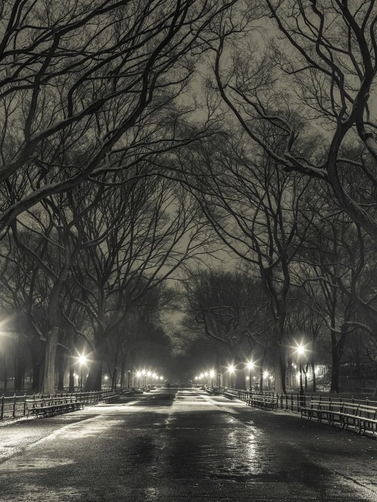 Poszter 60x80cm Éjszakai kilátás a Central Parkon át vezető útra, Assaf Frank