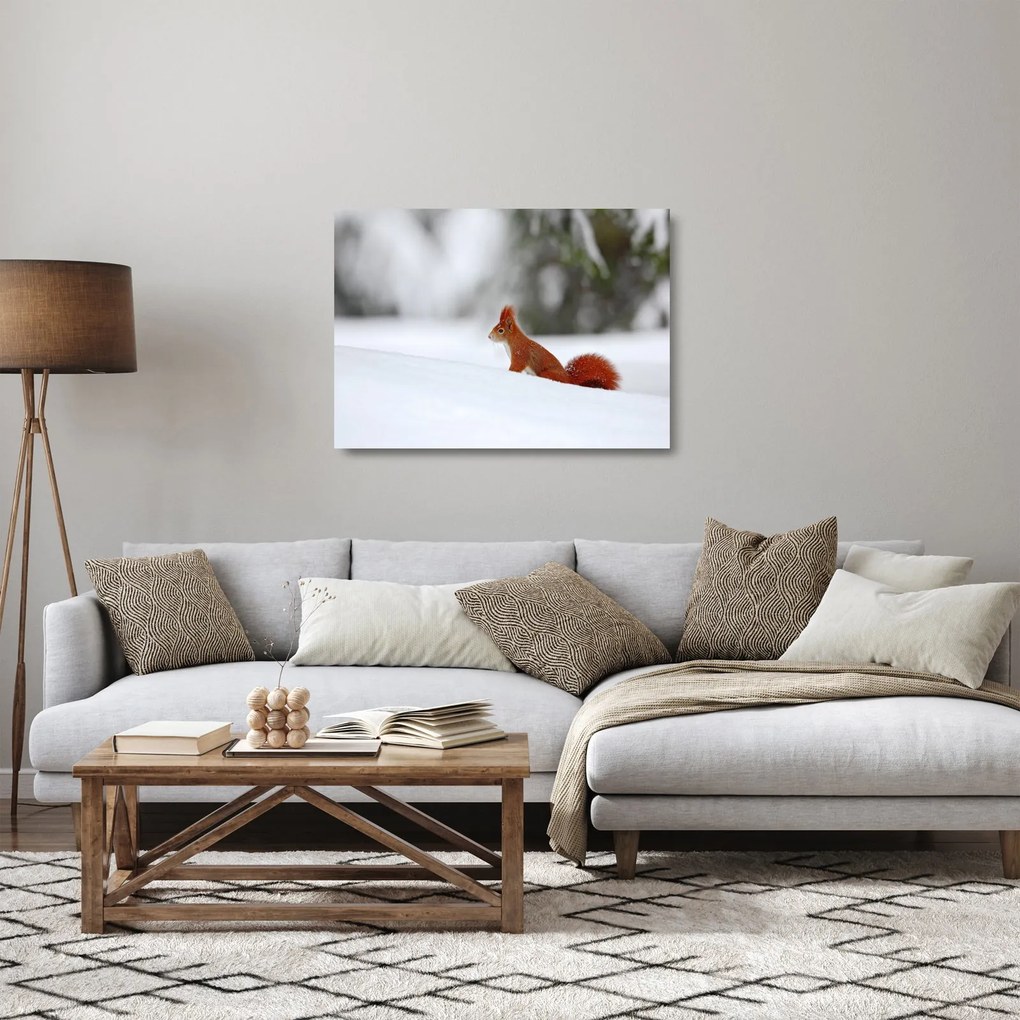 Egy mókus képe (üvegen) (70x50 cm)