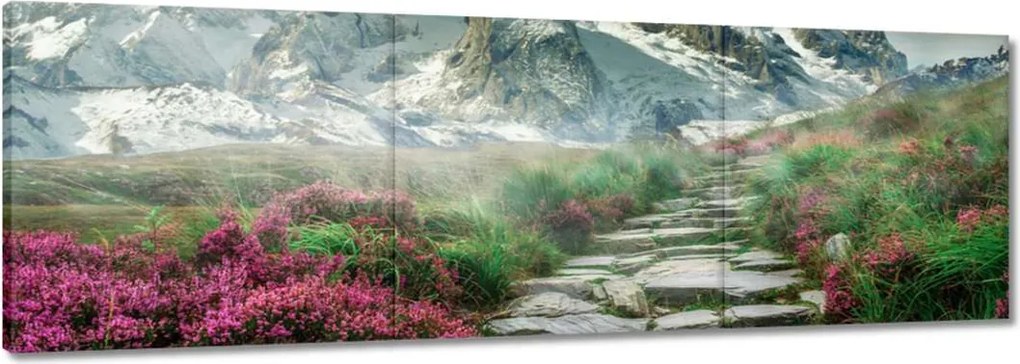 Festmények 120x40 Hegyi kilátás