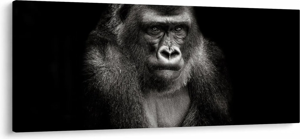 Kép - Gorilla (120x50 cm)