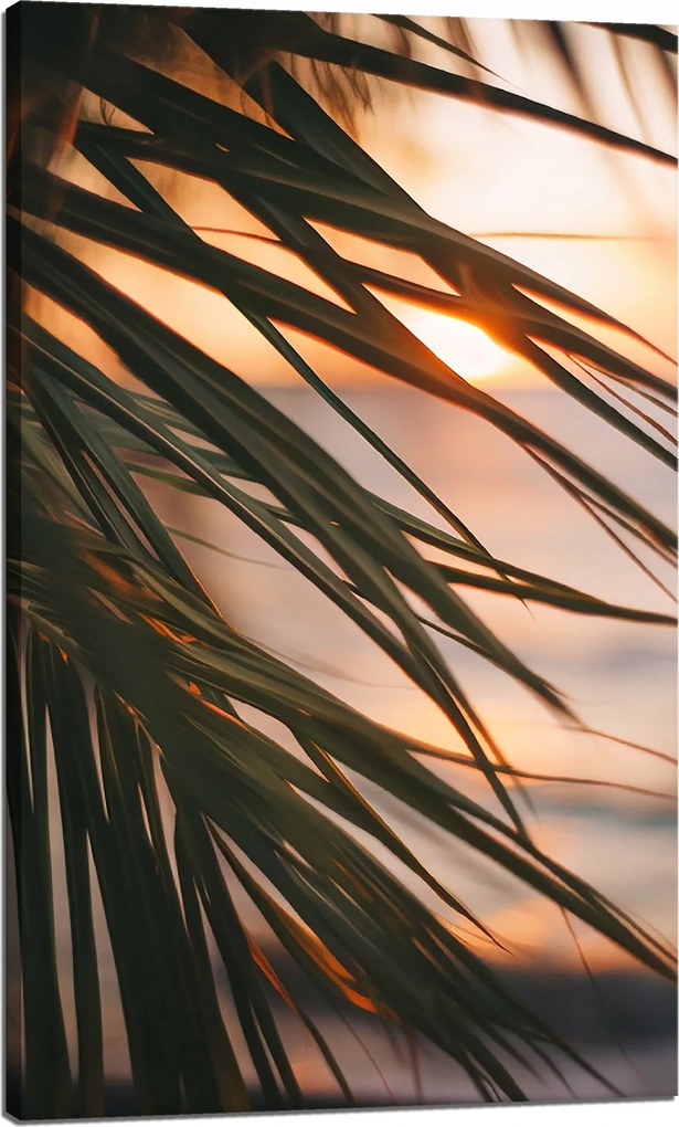 Vászonkép Természet Tengerpart Pálma Tenger Naplemente 60x100
