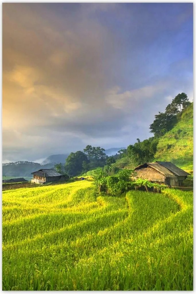 Poszterek 80x120 Kilátás Tájkép