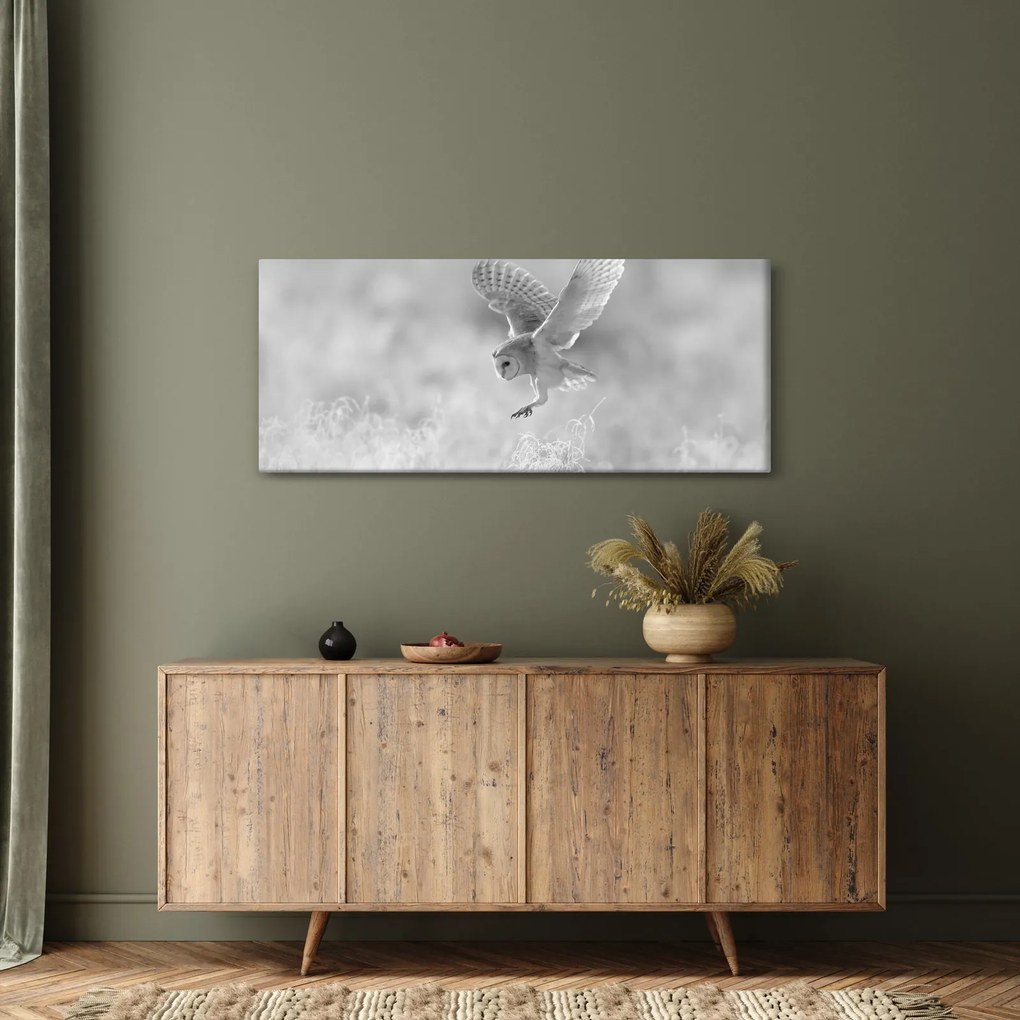 Kép - Bagoly a mezőn (120x50 cm)