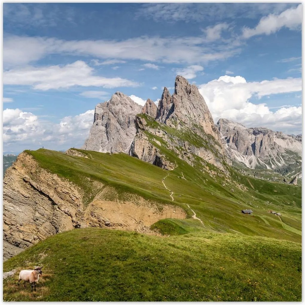 Poszterek 70x70 Bárány a hegyekben Hegyek Kilátás