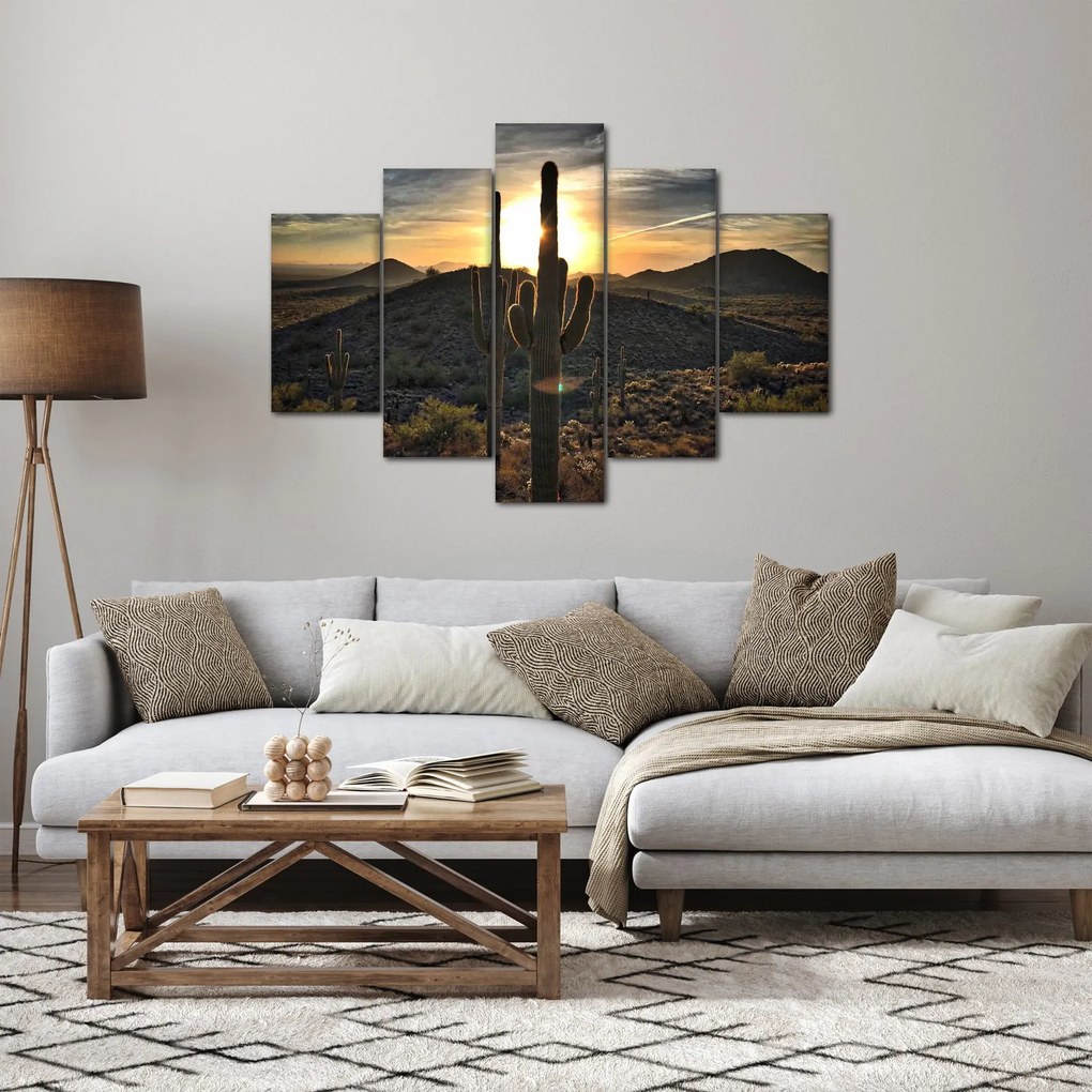Kép - kaktuszok a napon (150x105 cm)