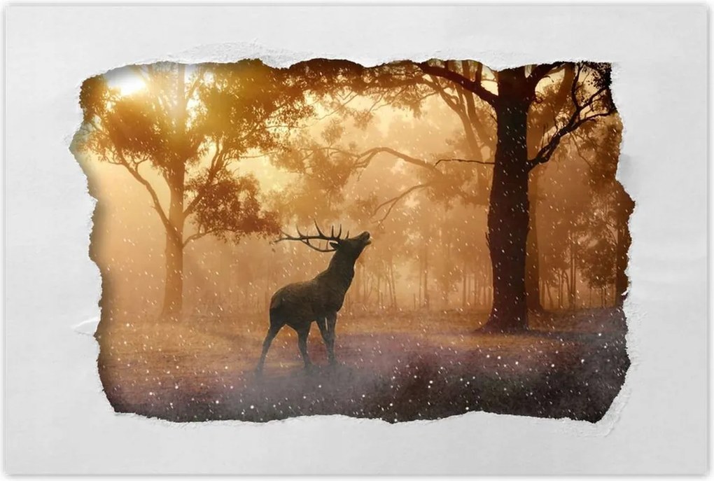 Poszterek 120x80 Szarvas az erdőben