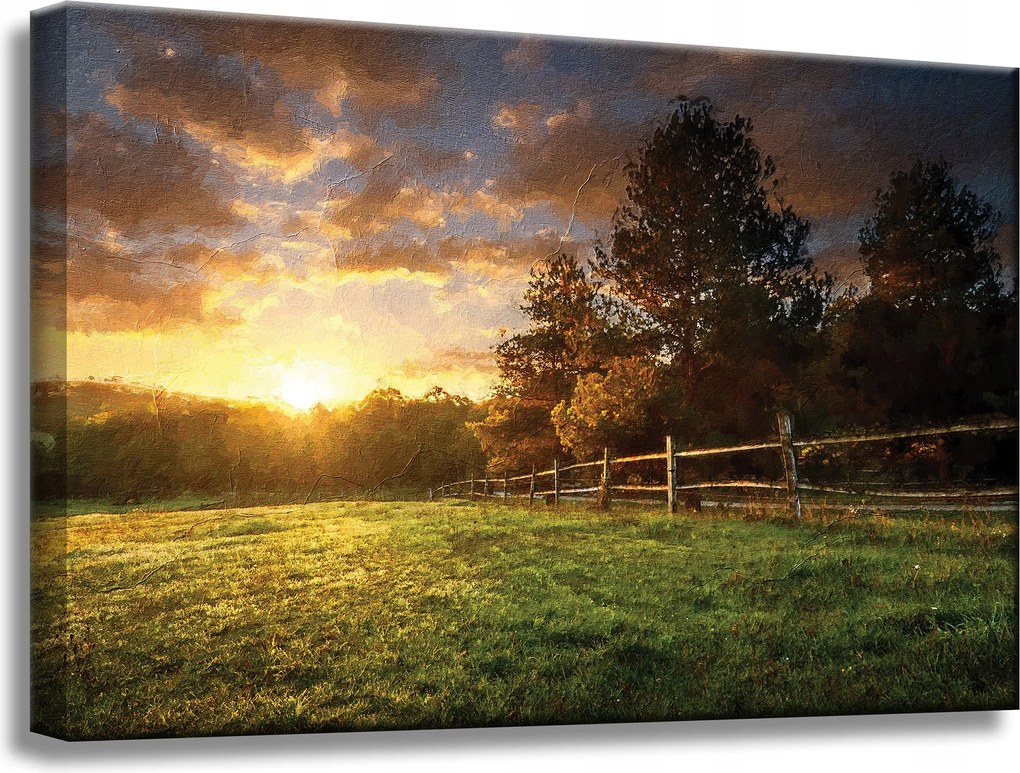 Vászonkép Nap Tájkép Falusi fák Rét 60x40 cm