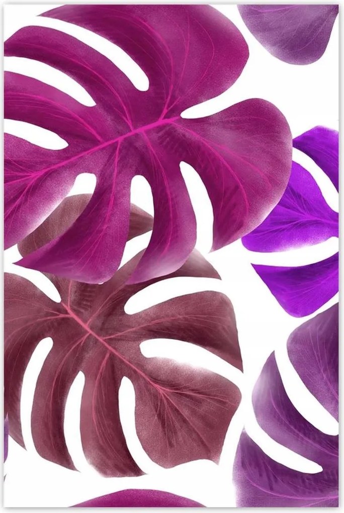 Poszterek 80x120 Monstera Levelek Lila