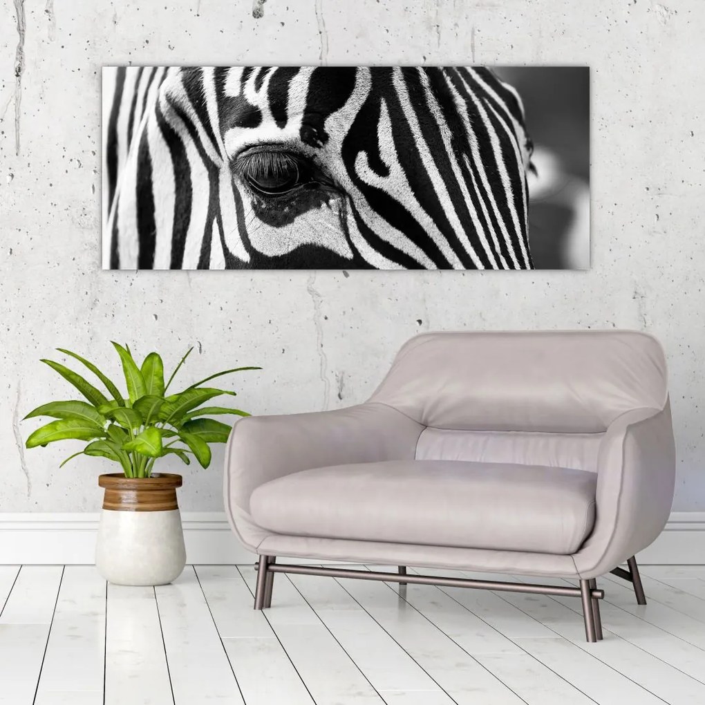 Zebra képe (120x50 cm)