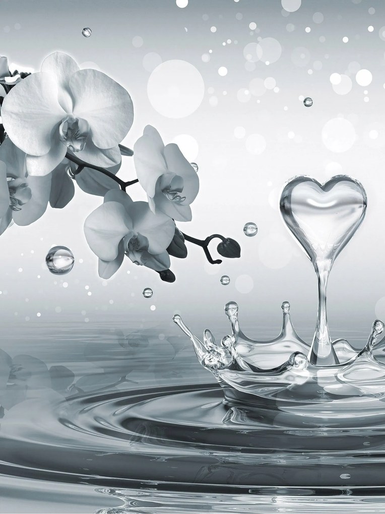 Fotótapéta Orchidea harmatcseppek finomság nyugalom harmónia 206x275 +ragasztó