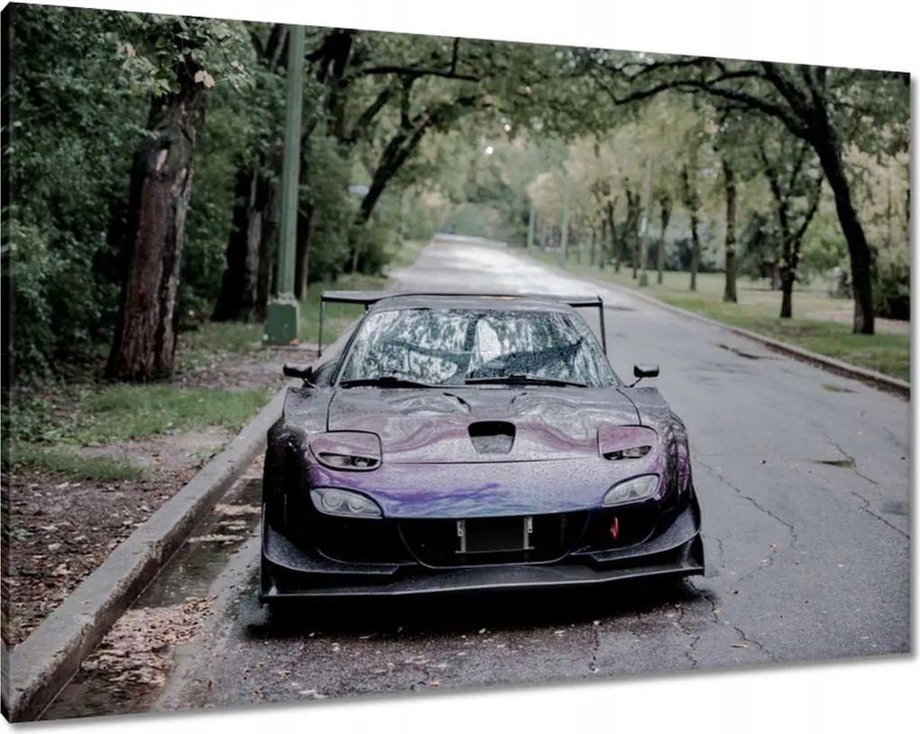 Képek 100x70 Autó Fura Sport