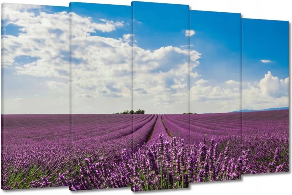 Vászonkép 150x95 Levendulamező Levendula