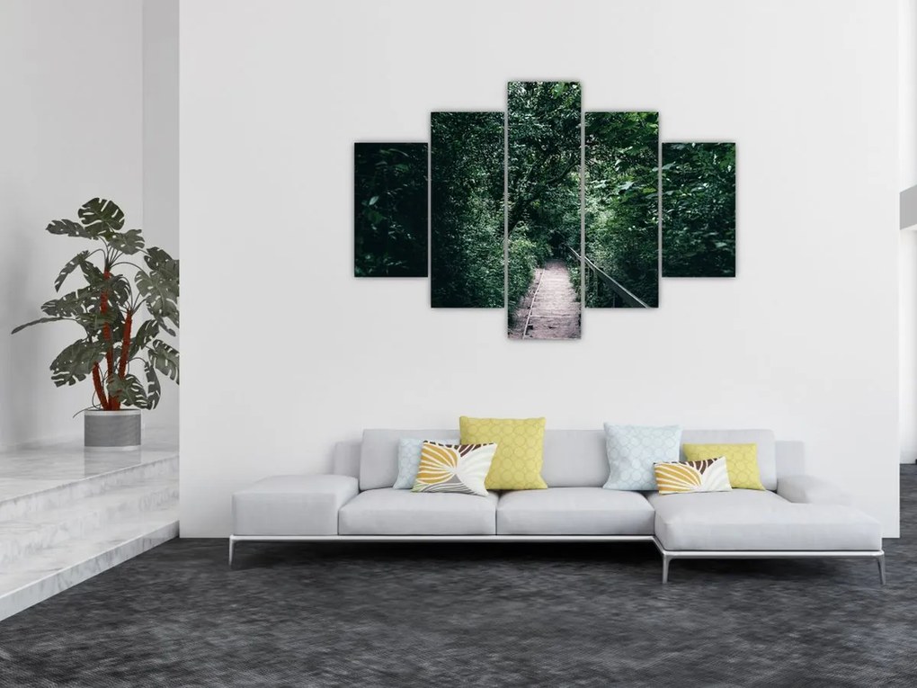 Kép - Az erdőn át vezető út (150x105 cm)