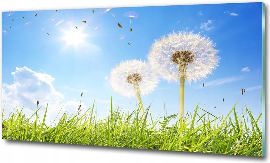 Fotó vászonkép edzett üveg Fehér liliom 125x50