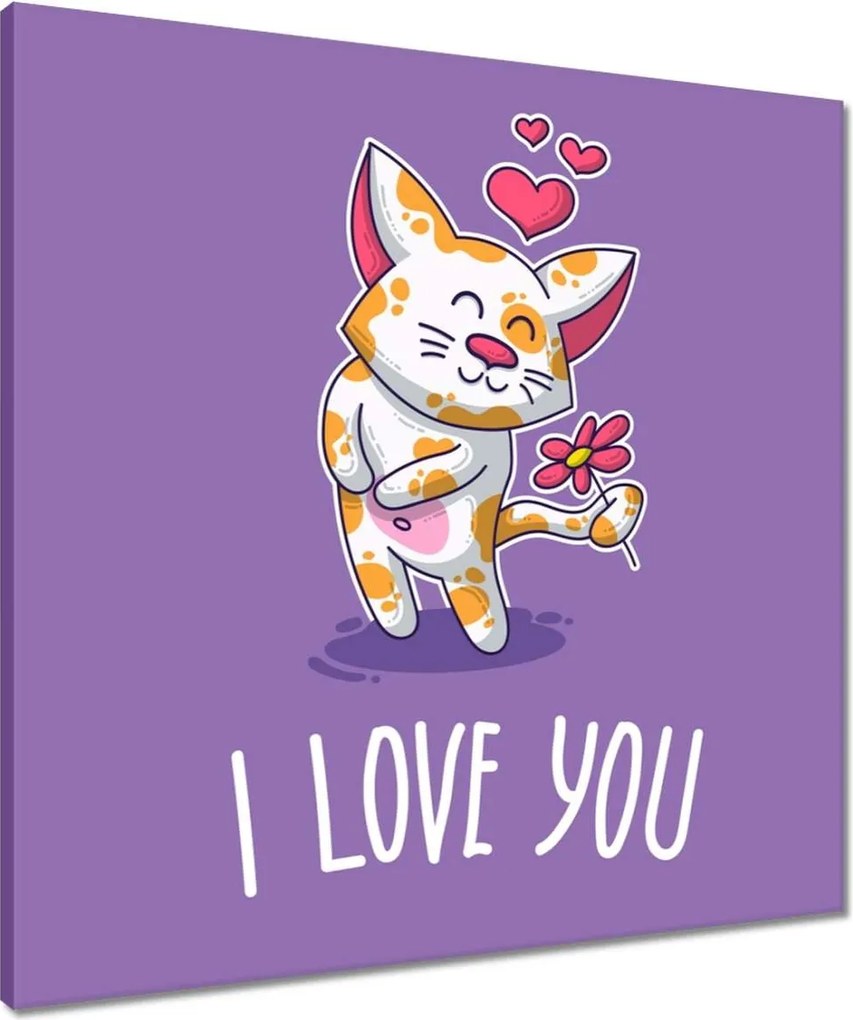 Vászonkép 60x60 Cica