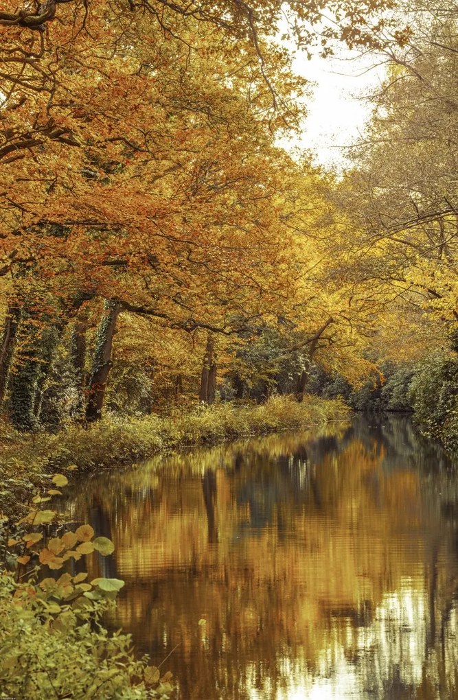 Poszter 53x81cm Csatorna az erdőn át 2, Assaf Frank