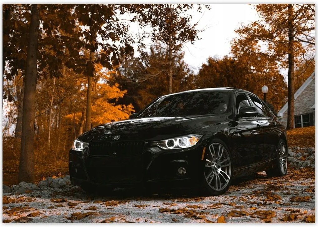 Poszterek 100x70 Fekete Bmw Ősz