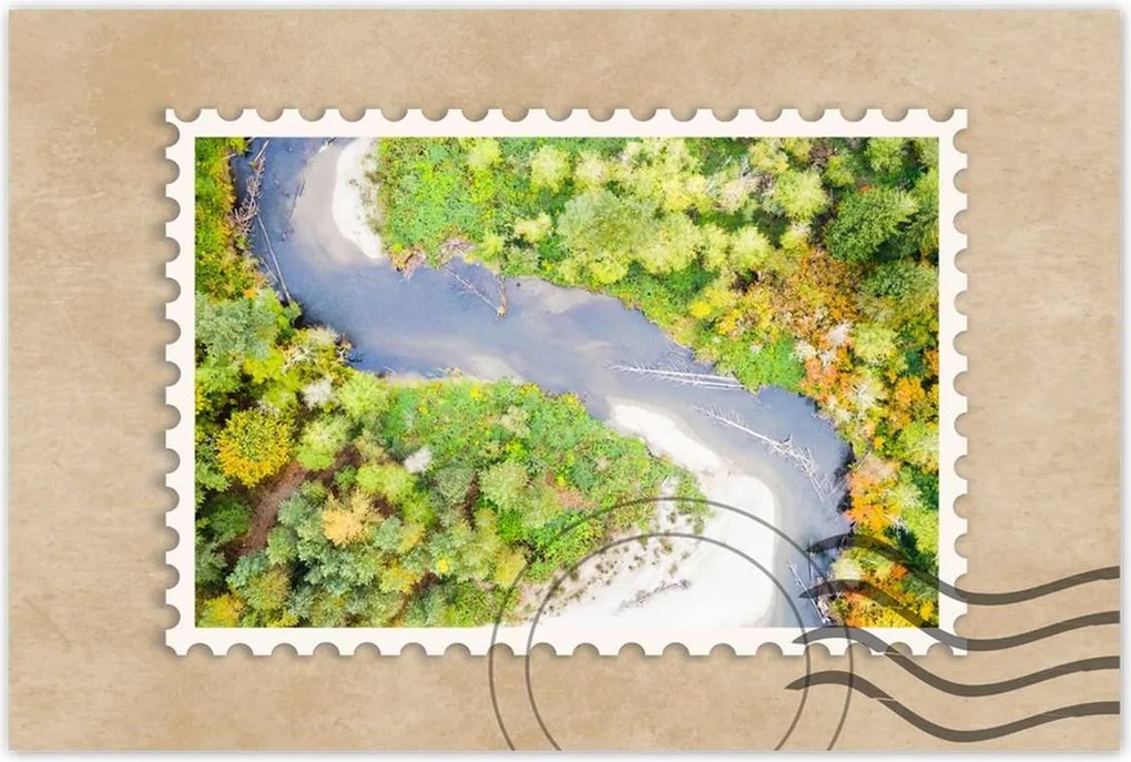 Poszterek 60x40 Forgó folyó Erdő Ősz