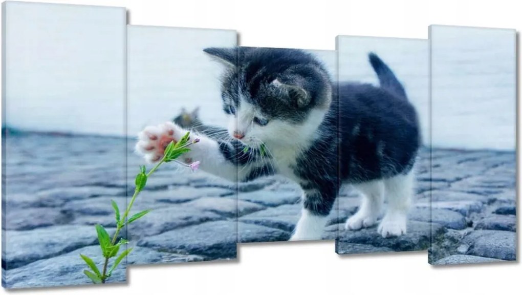 Vászonkép 150x80 Kíváncsi cica