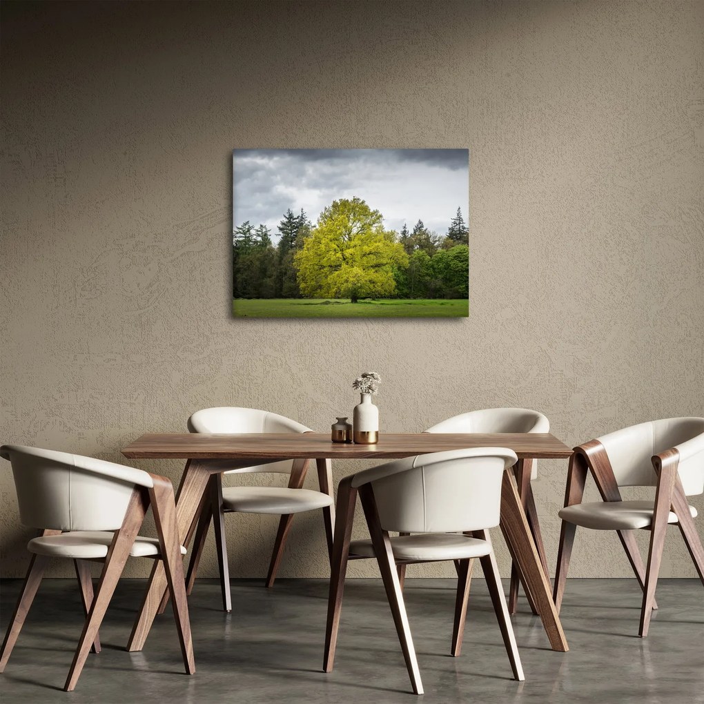 Egy zöld fa képe a mező közepén (70x50 cm)