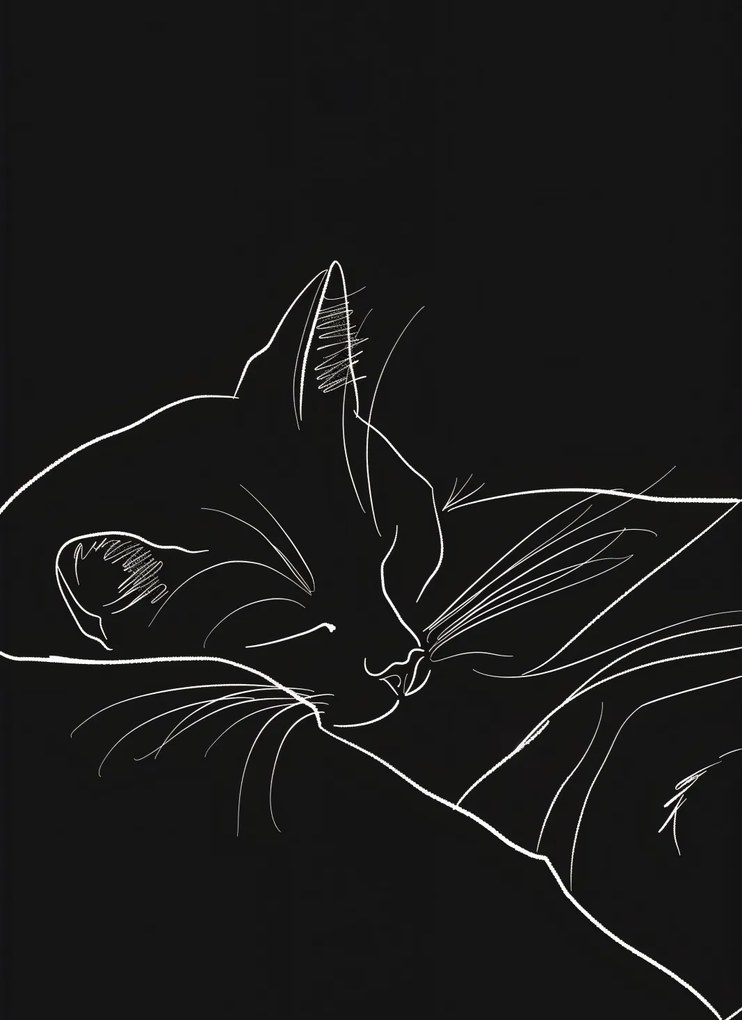 Poszter 40x55cm Éjszakai nyugalom