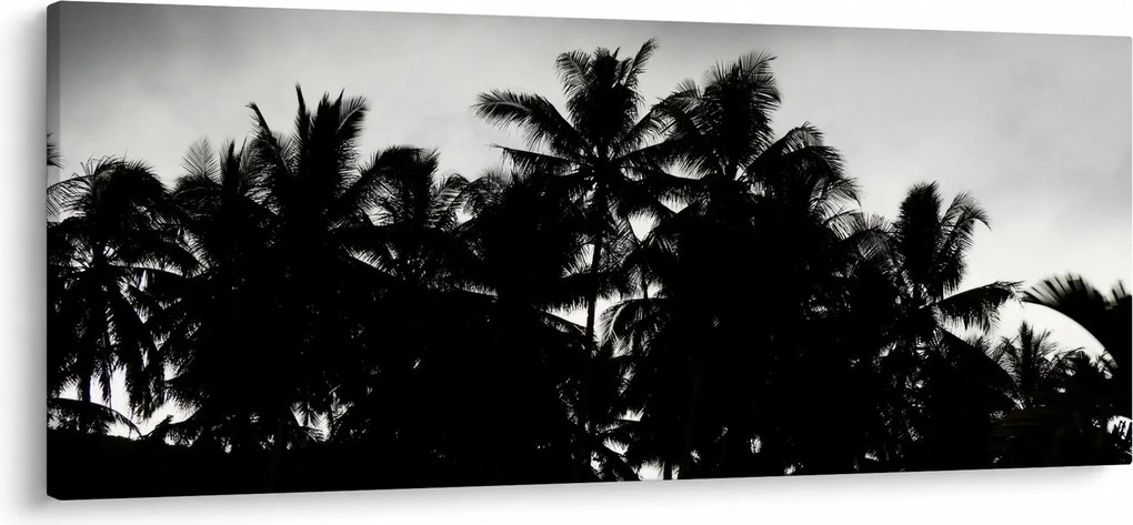 A fekete-fehér pálmafák képe (120x50 cm)