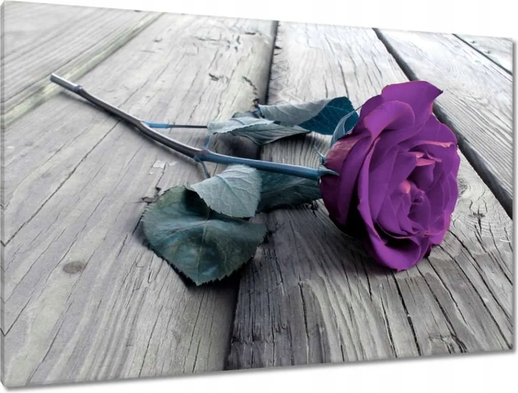 Vászonkép 120x80 Rózsa a szerelmesek napjára