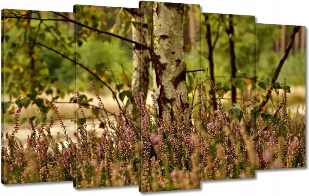 Vászonkép 100x60 Nyírfa a hangák között Erdő