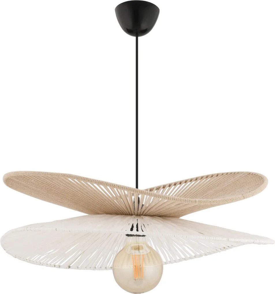 Daffodil - Beige, White