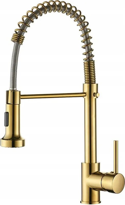 Konyhai forgó csaptelep kihúzható kifolyócsővel Indes Dexter gold