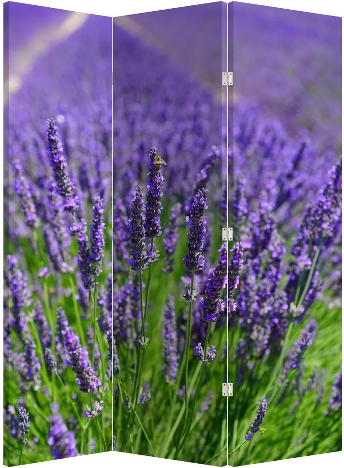 Paraván - Levandula (126x170 cm)