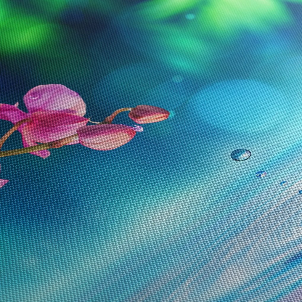 Kép - Orchidea (90x60 cm)
