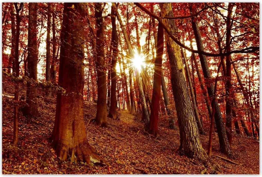 Poszterek 120x80 Tájkép Látvány